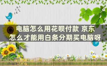 电脑怎么用花呗付款 京东怎么才能用白条分期买电脑呀